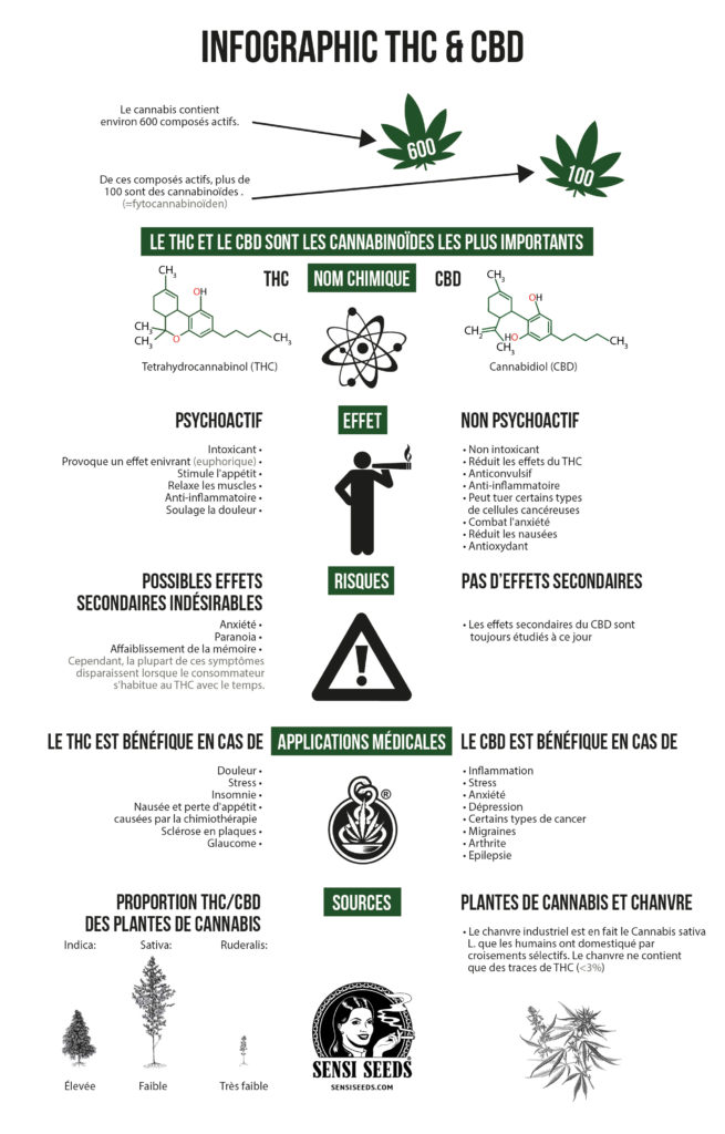 découvrez les nombreux bienfaits du cbd pour la santé et le bien-être. apprenez comment cette molécule naturelle peut soulager l'anxiété, réduire la douleur et améliorer la qualité du sommeil, tout en bénéficiant d'une approche thérapeutique sans effets psychotropes.