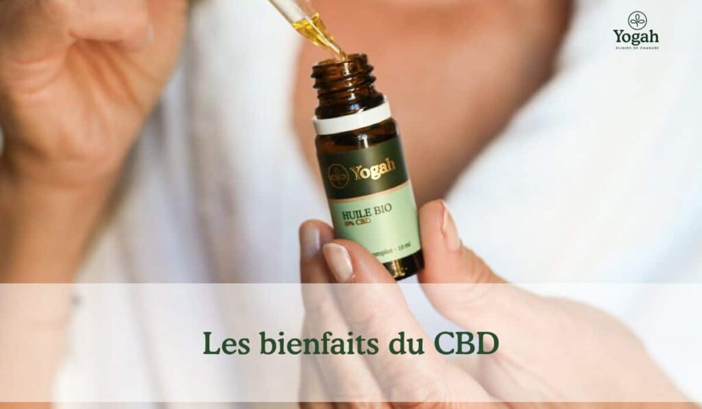 découvrez les nombreux bienfaits de l'huile de cbd pour le bien-être physique et mental. soulagez le stress, l'anxiété et les douleurs chroniques grâce à cette huile naturelle aux propriétés apaisantes. explorez ses vertus pour améliorer votre qualité de vie.