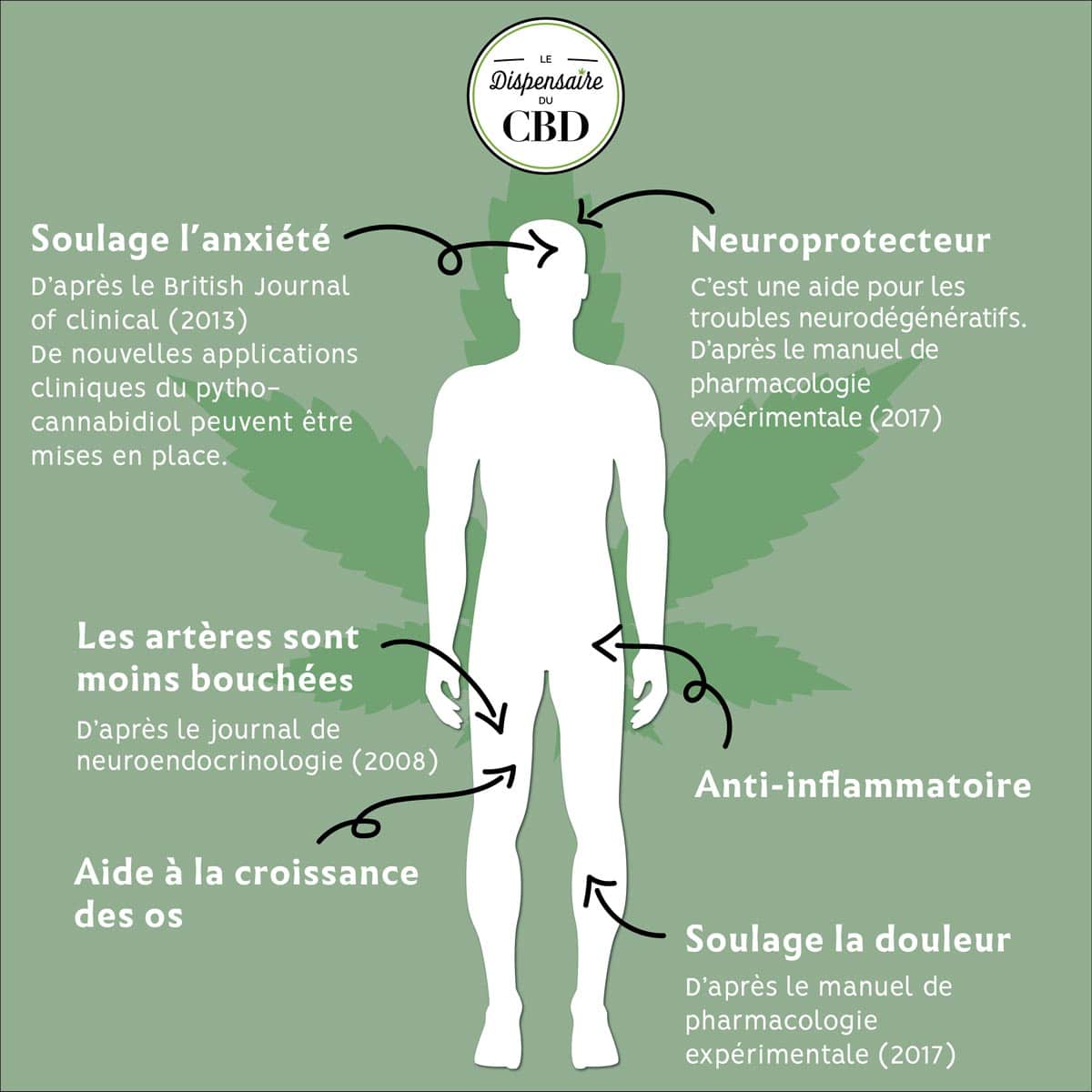 découvrez les bienfaits du cbd : soulagement de l'anxiété, amélioration du sommeil, réduction de la douleur et bien plus encore. explorez les propriétés naturelles du cannabidiol pour votre bien-être au quotidien.