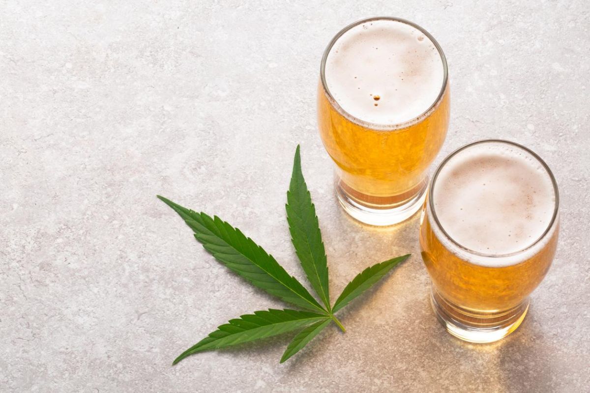 découvrez les bienfaits de la boisson au cbd : ses effets relaxants, anti-stress et ses avantages pour la santé. plongez dans l'univers apaisant du cannabidiol et améliorez votre bien-être au quotidien.