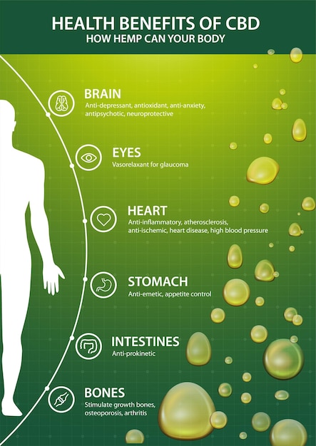 découvrez les avantages et effets des boissons au cbd, une alternative naturelle pour apaiser l'esprit et le corps. apprenez comment ces boissons peuvent améliorer votre bien-être au quotidien.