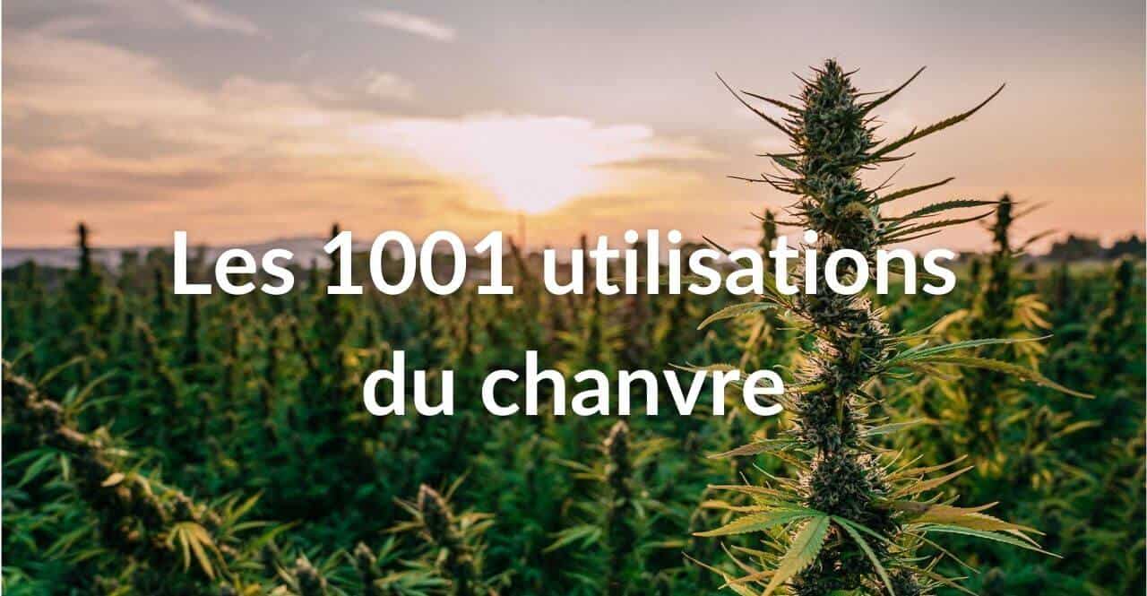 découvrez les avantages et utilisations du cbd à lyon. apprenez comment ce produit naturel peut améliorer votre bien-être, réduire le stress et soulager diverses affections. explorez notre guide pour tout savoir sur le cbd à lyon.