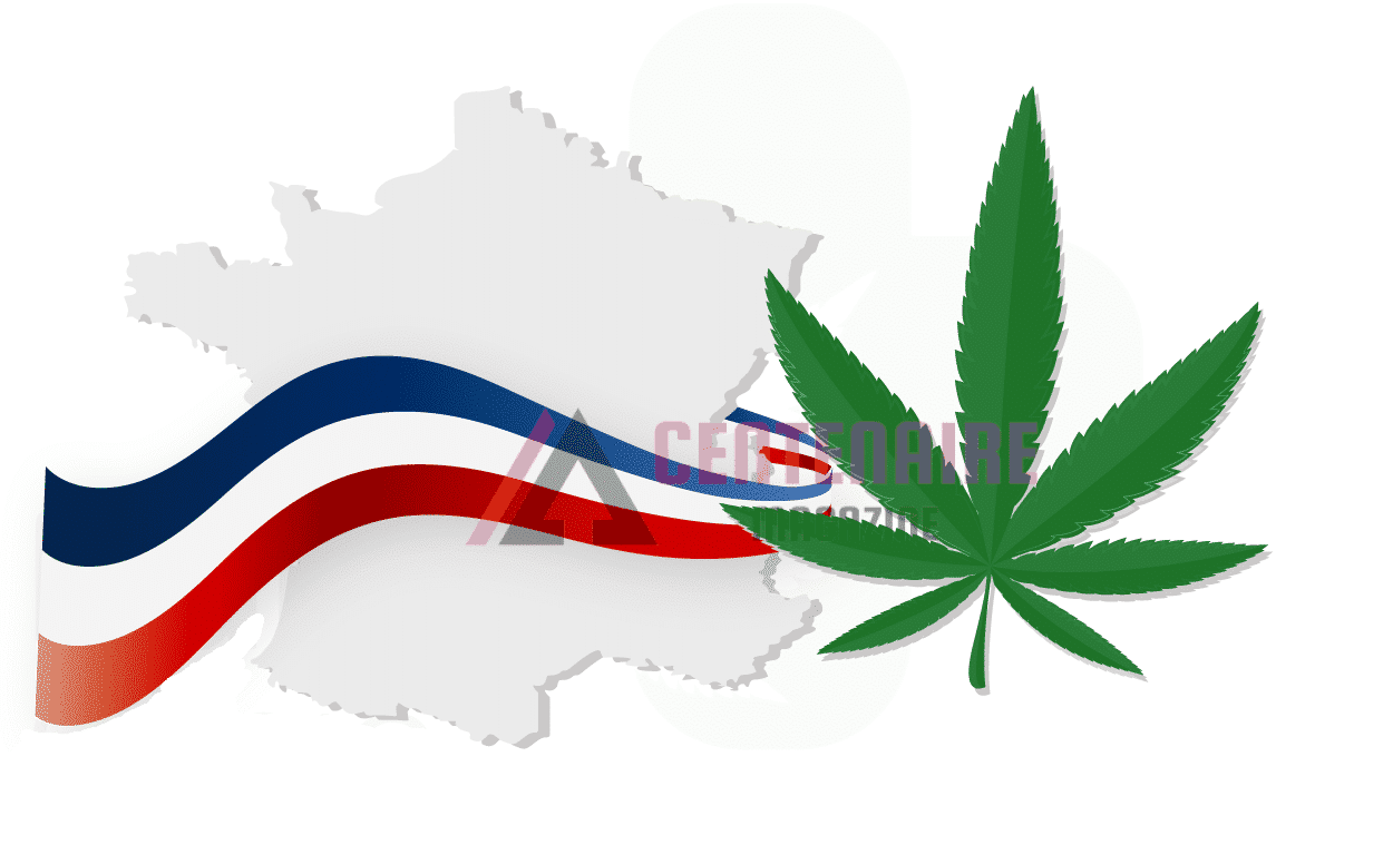 découvrez les bienfaits du cbd à toulouse et informez-vous sur la législation en vigueur. apprenez comment le cannabidiol peut améliorer votre bien-être tout en respectant les lois locales.