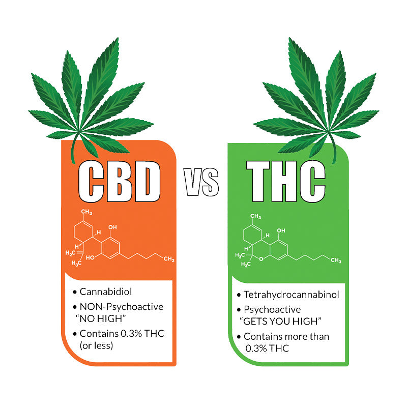 découvrez les principales différences entre le cbd et le thc, deux composés majeurs du cannabis. apprenez comment leurs effets, légalité et utilisations varient, pour mieux comprendre ces substances et leurs impacts sur la santé.