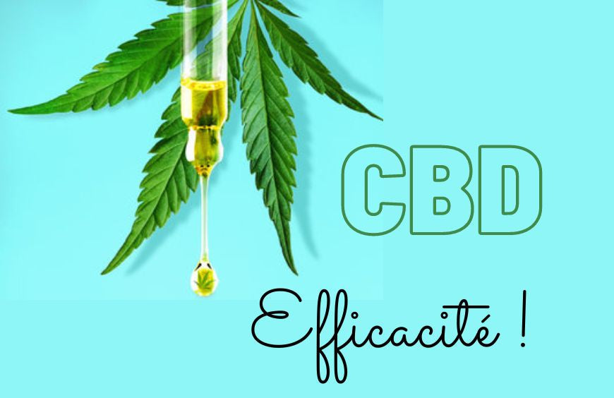 découvrez les enjeux et bénéfices du cbd, une substance naturelle aux multiples propriétés. informez-vous sur son impact sur la santé, son potentiel thérapeutique et comment il peut améliorer votre bien-être au quotidien.