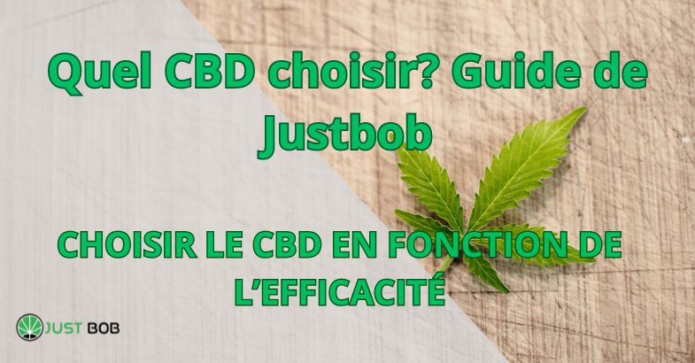 découvrez notre guide complet sur le cbd : tout ce que vous devez savoir sur ses bienfaits, ses usages, les différentes formes, et comment l'intégrer dans votre quotidien pour améliorer votre bien-être.