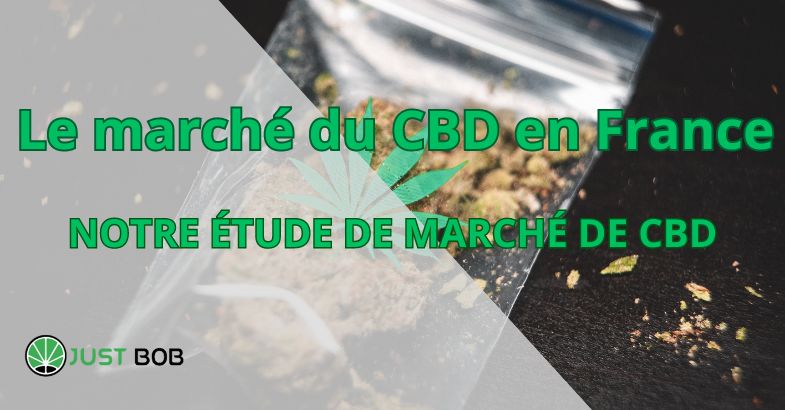 découvrez le marché du cbd : tendances, opportunités et innovations. explorez les différents produits à base de cannabidiol, leur législation et leur impact sur la santé et le bien-être. restez informé sur les évolutions d'un secteur en pleine expansion.